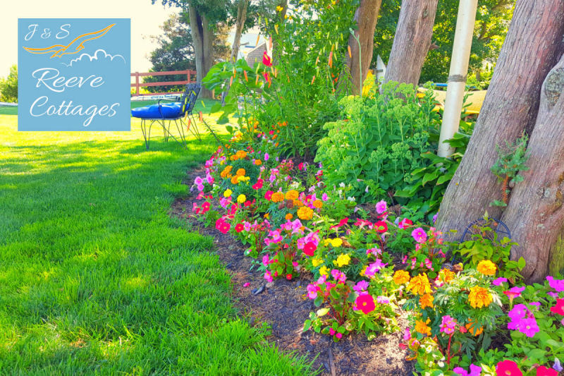 More Beautiful Gardens at our Waterfront Vacation Rentals by J&S Reeve Cottages