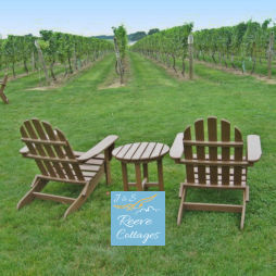Two chairs at a vineyard for you to hit to get to our attractions page